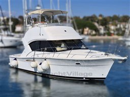 d8706_starya_1544_1.jpg