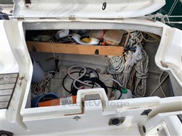 c4fff_img-20260306-wa0039.jpg