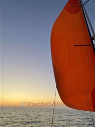 c695c_starya_1050_24.jpg