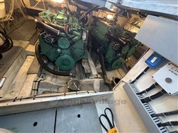 e8501_starya_1471_21.jpg