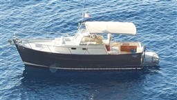 d88f2_starya_1120_2.jpg
