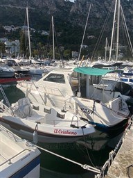 413d2_1.jpg