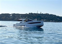 27080_starya_1483_1.jpg
