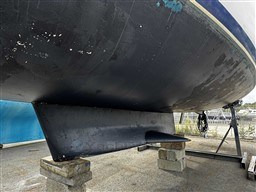 4b317_218_913_4.jpg