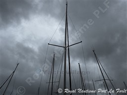 3c80e_218_903_5.jpg