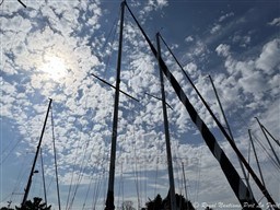 f58ea_218_764_4.jpg