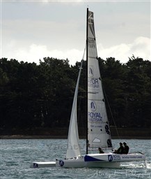 19b46_218_900_4.jpg