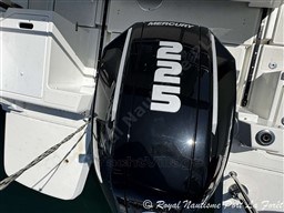 79674_218_959_4.jpg