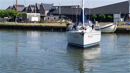 DSC00100(1).jpg