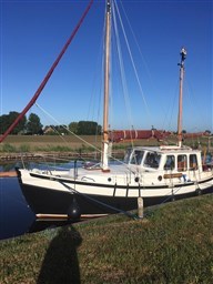 Danish Rose 31 Sjouwerman