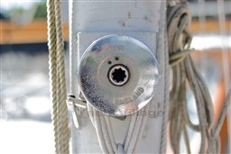 Vilm 36B Sterna 1975