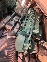 Immagine WhatsApp 2025-03-04 ore 17.16.10_b672bc3b.jpg