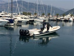 shared image (9).jpeg