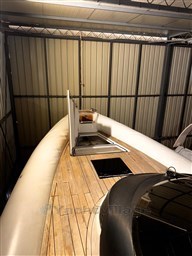 shared image (17).jpeg