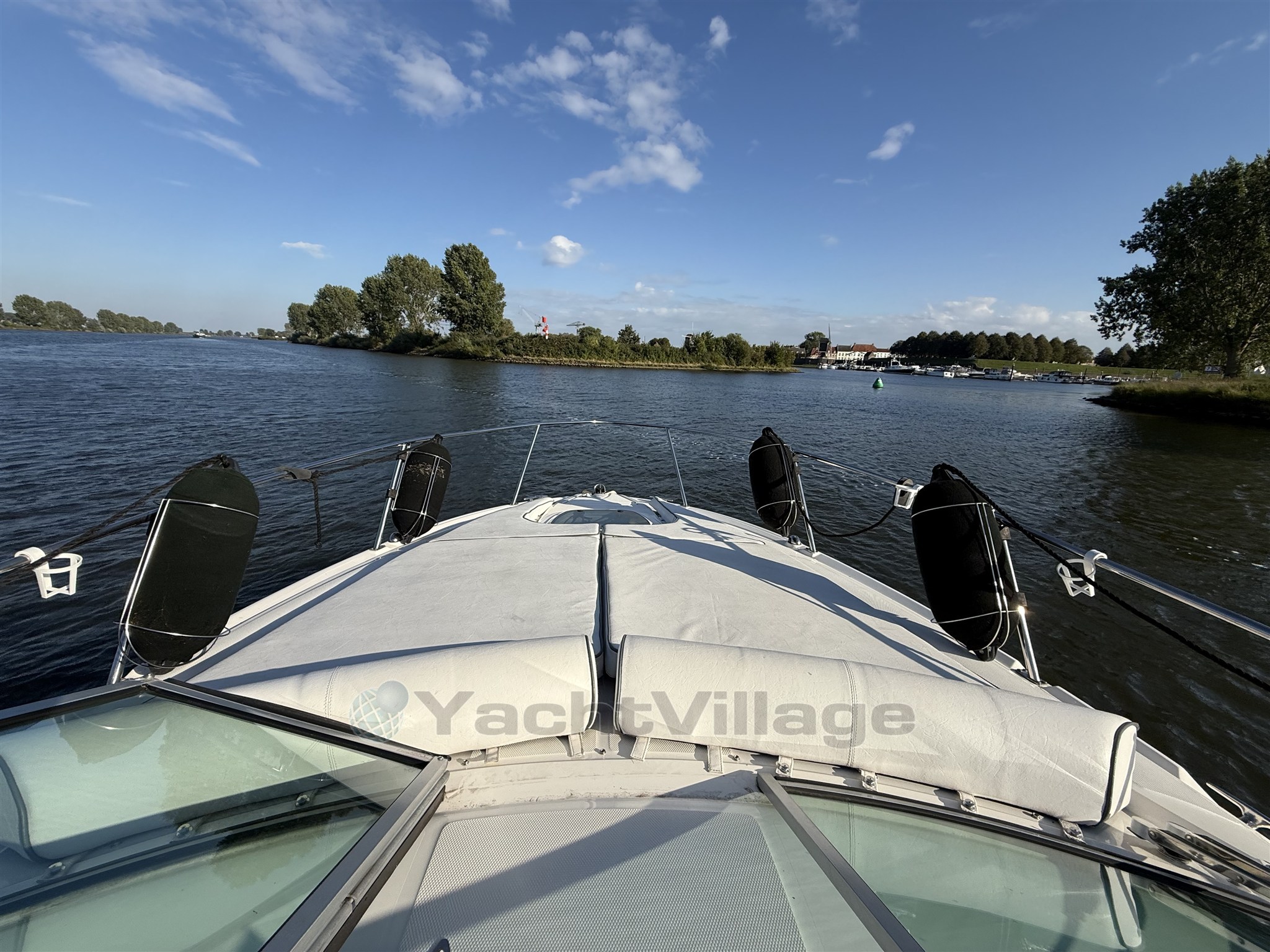 [E] IMG_6989