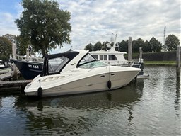[E] IMG_7004