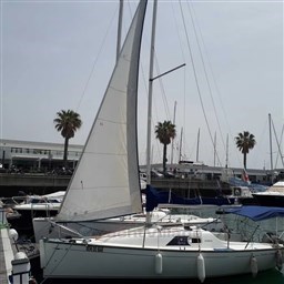 Jeanneau Sun 2000 - foto bombordo com genoa aberta.jpeg