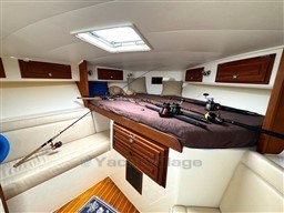 OLTREMARE Carolina Classic 32