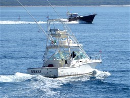 2009 Carolina Classic 28 boat cruising on open water with another vessel in the background.