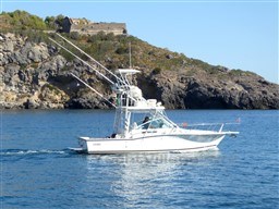 2009 Carolina Classic 28 boat cruising near rocky coastline under clear blue sky.