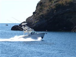 2009 Carolina Classic 28 boat cruising near rocky coastline.