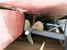 Foto_Riva Superflorida_1962_20.jpg