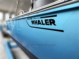 Foto_Boston_Whaler_25_Outrage_04.jpeg