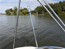 IMG_9049