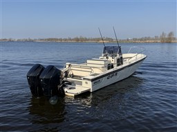IMG_6233
