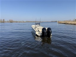 IMG_6222