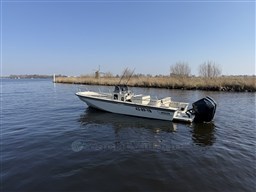 IMG_6215