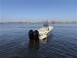 IMG_6228