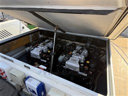 IMG_9815