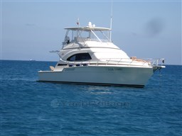 Bertram 450 bow profile.jpg