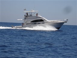 Bertram 450 running.jpg