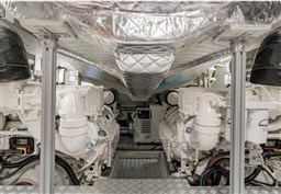 Clio dorada, Riva 56 Rivale