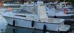 Tuccoli 280 Moby Dick .jpg
