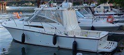 Tuccoli 280 Moby Dick .jpg