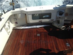 Tuccoli 280 Moby Dick Osa pescato