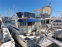 WhatsApp Image 2026-03-02 at 17.18.35 (1).jpeg