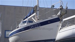 _DSC3833