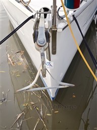 Bavaria 36 29