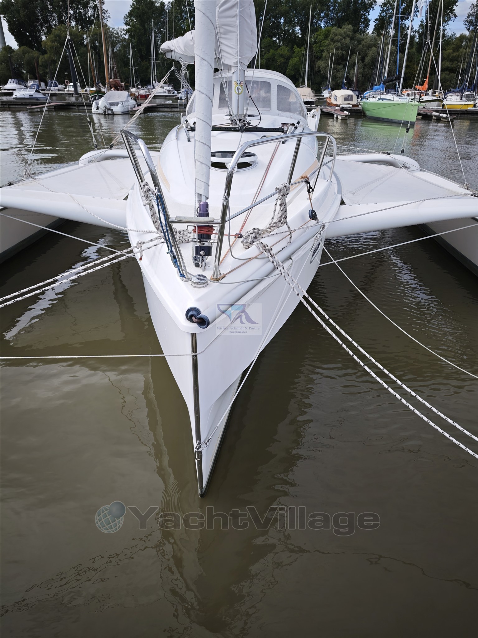 Dragonfly 28  6