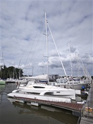 Dragonfly 28  3