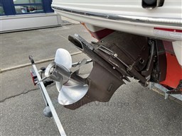 Stingray Ray 250 CR 4