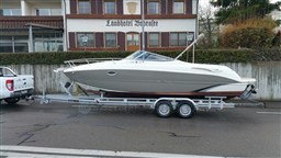 Stingray Ray 250 CR 2
