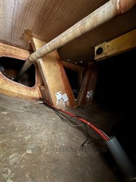 IMG_9994