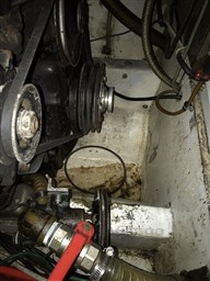 IMG_1033
