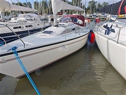 Dehler 32  81