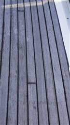 _DSC4733